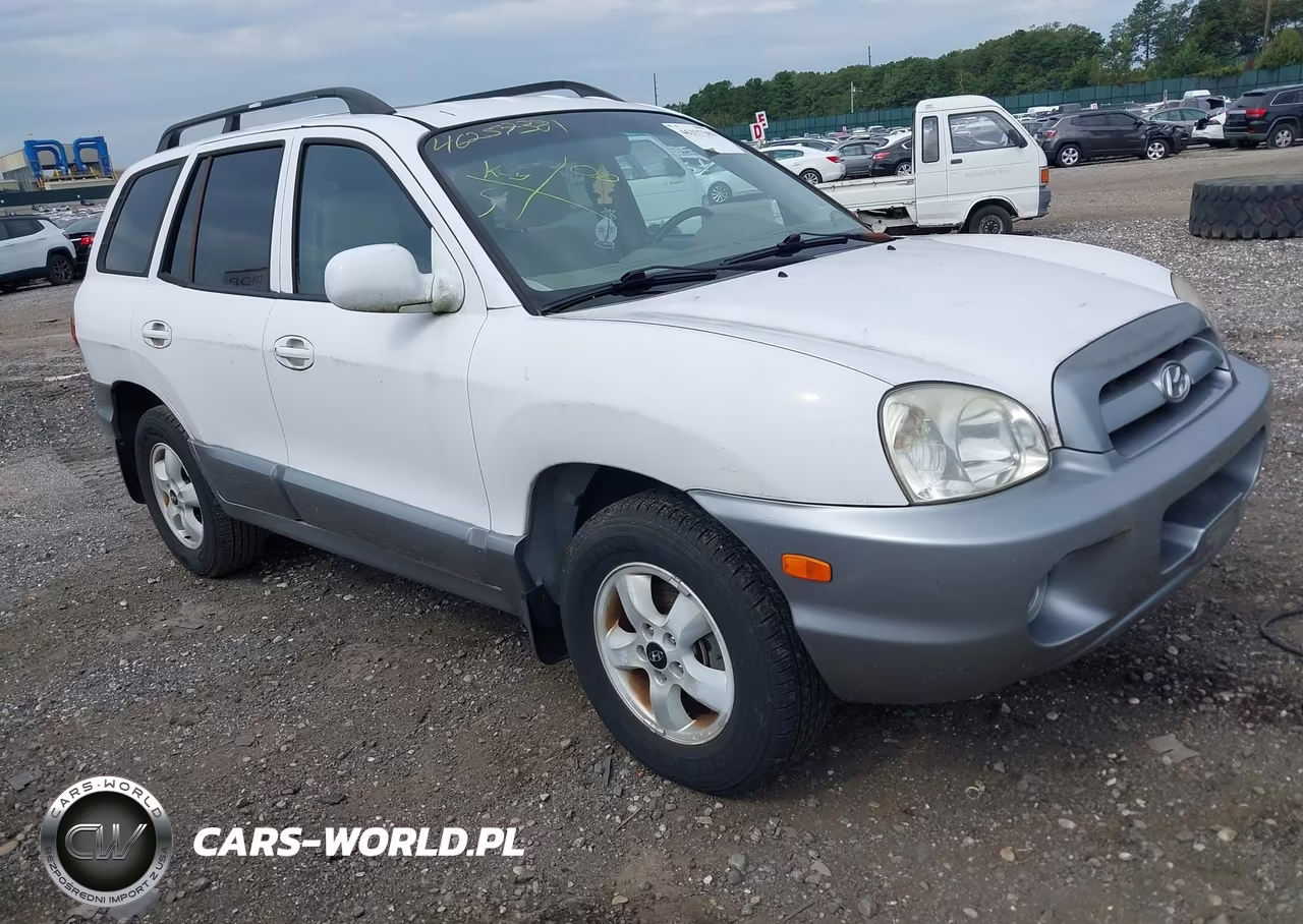 2005 Hyundai Santa Fe Gls – zdjęcie 1 z 11