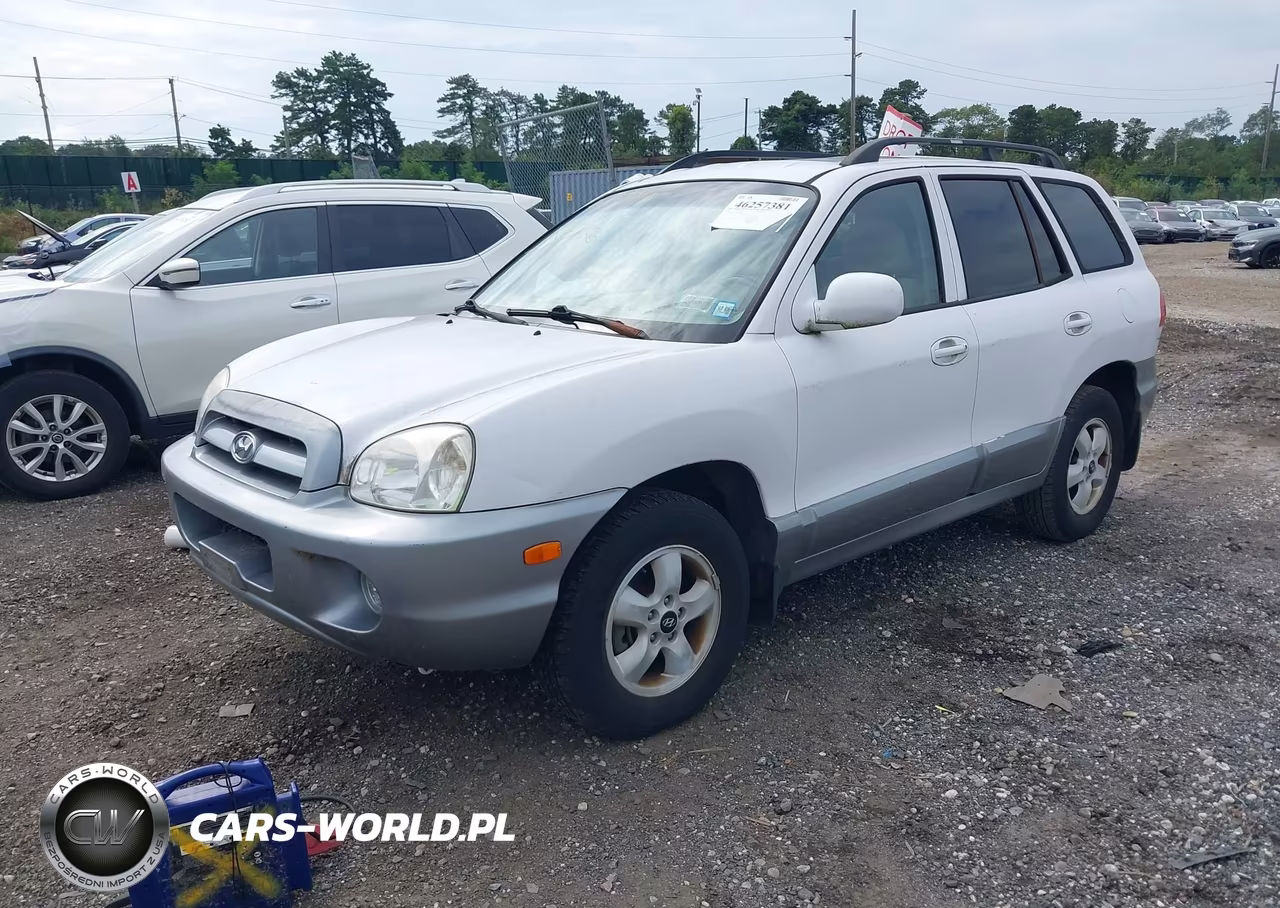 2005 Hyundai Santa Fe Gls VIN:KM8SC73D95U006995 - 2