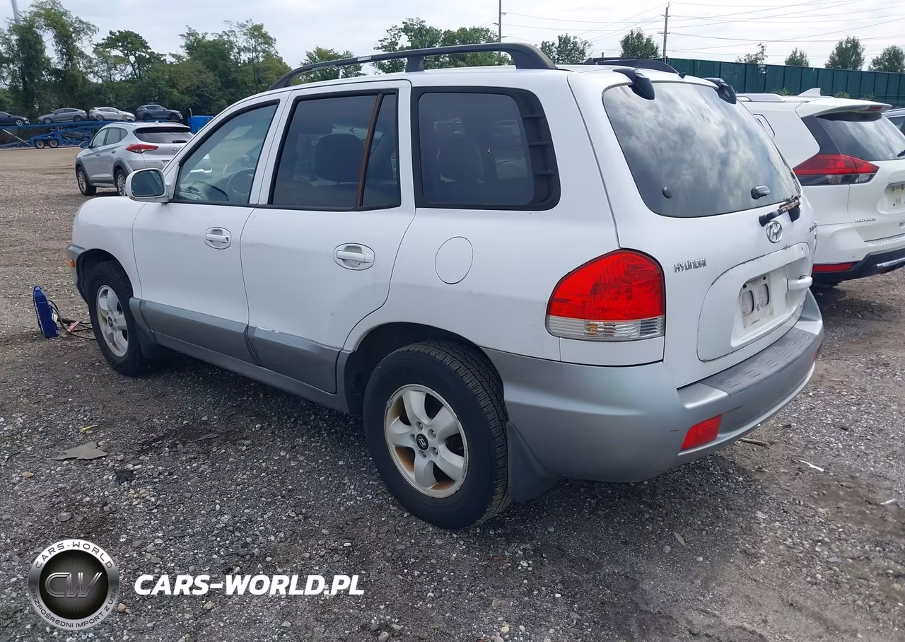 2005 Hyundai Santa Fe Gls VIN:KM8SC73D95U006995 - 3