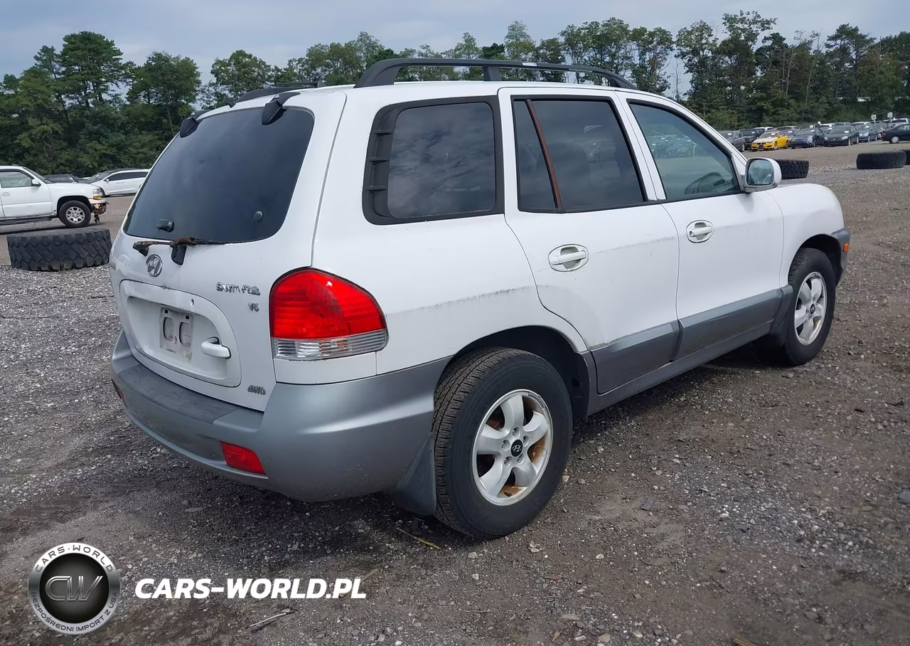 2005 Hyundai Santa Fe Gls VIN:KM8SC73D95U006995 - 4