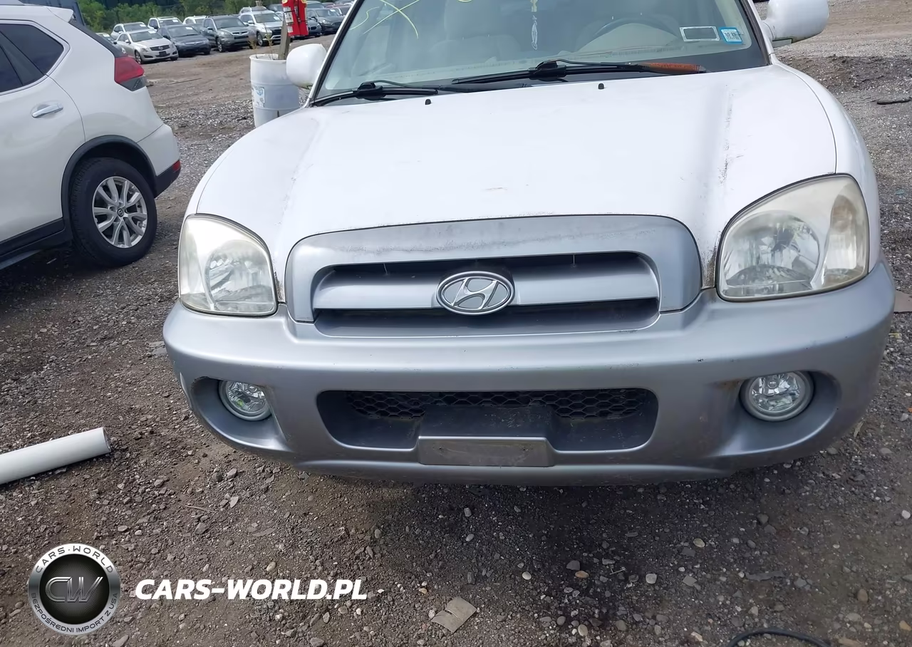 2005 Hyundai Santa Fe Gls VIN:KM8SC73D95U006995 - 6