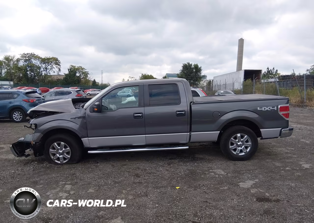 2013 Ford F-150 Xlt VIN:1FTFW1EF7DKD44978 - 15