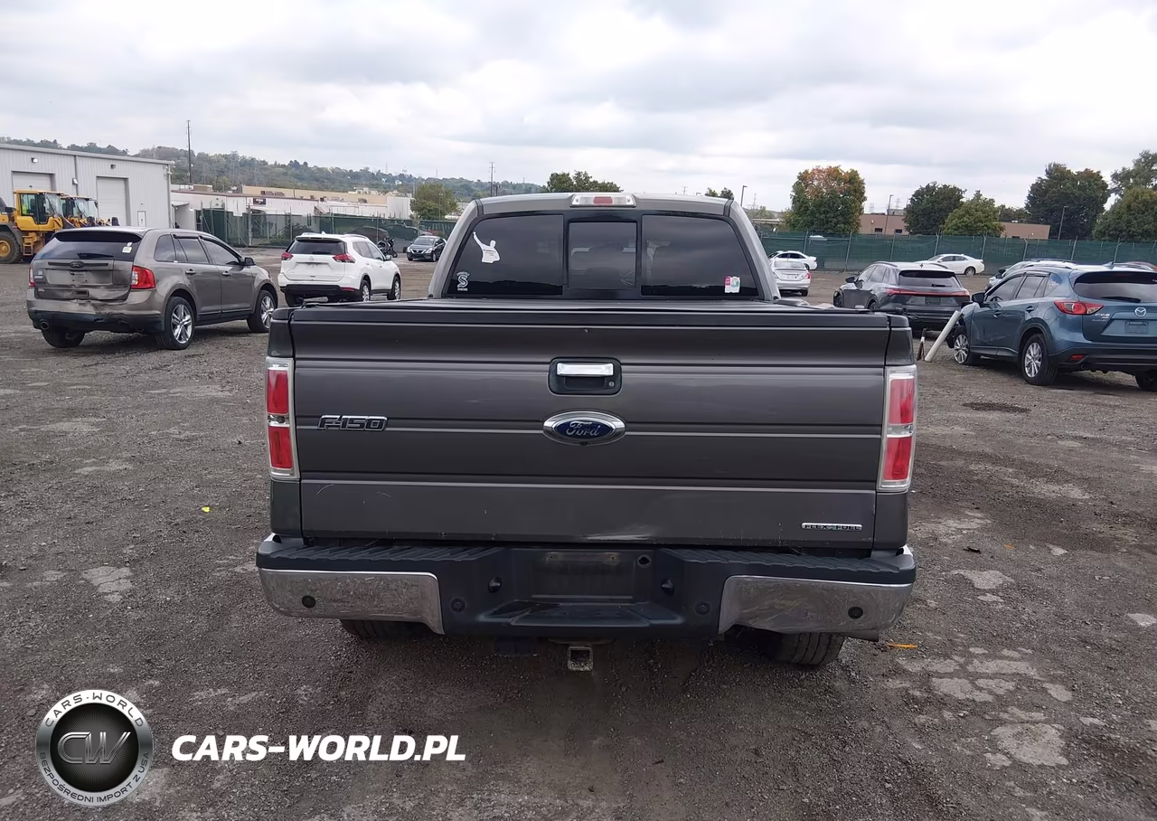2013 Ford F-150 Xlt VIN:1FTFW1EF7DKD44978 - 17