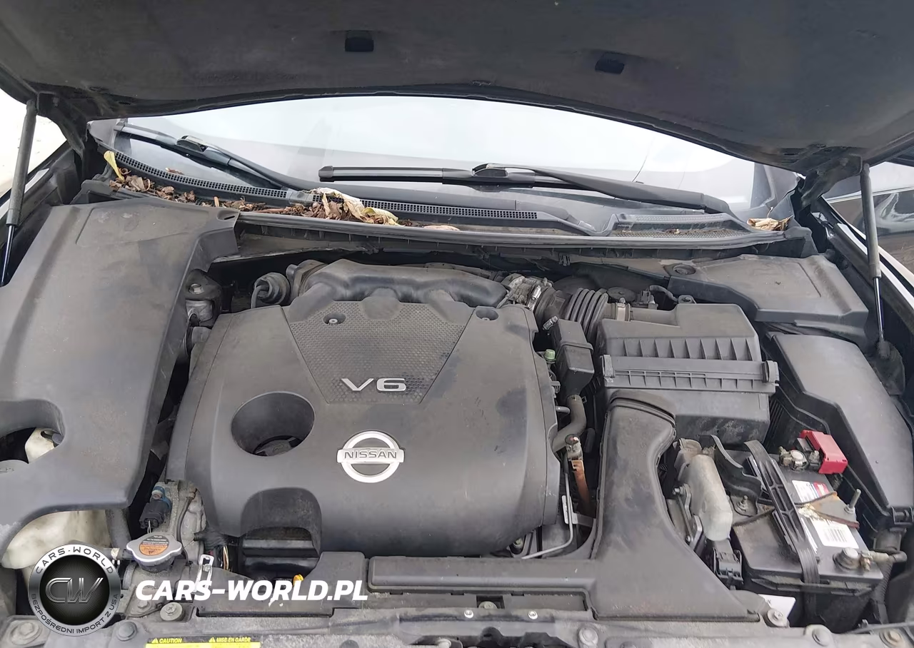 2010 Nissan Maxima 3.5 Sv VIN:1N4AA5AP6AC820857 - 10