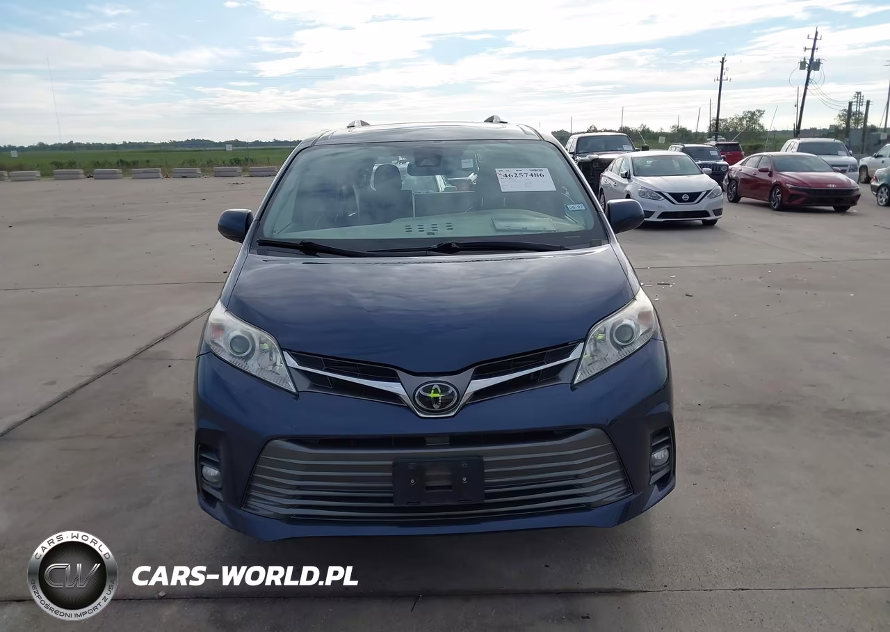 2020 Toyota Sienna Xle Premium VIN:5TDYZ3DCXLS063123 - 13