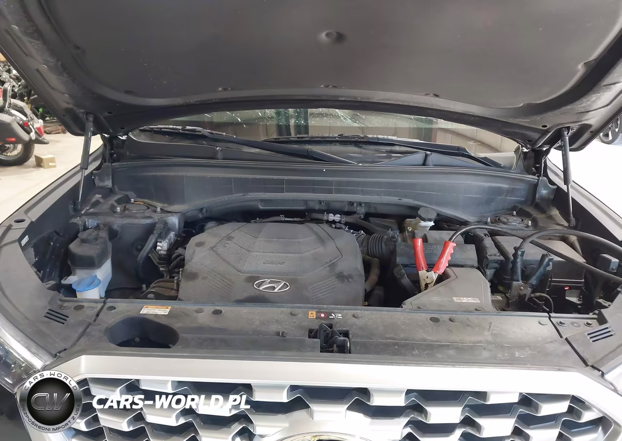 2021 Hyundai Palisade Sel VIN:KM8R4DHE9MU181130 - 10