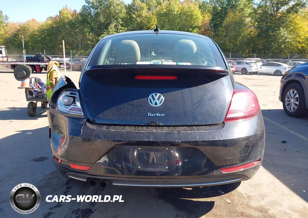 2017 Volkswagen Beetle 1.8T Se-1.8T Sel VIN:3VWJ17AT5HM618908 - 16