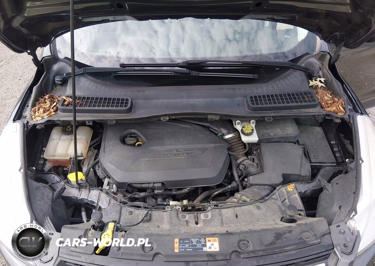 2015 Ford Escape Se VIN:1FMCU0GXXFUA40667 - 10