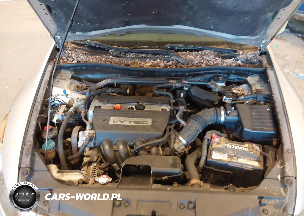 2009 Honda Accord 2.4 Ex-L VIN:1HGCP268X9A038782 - 10