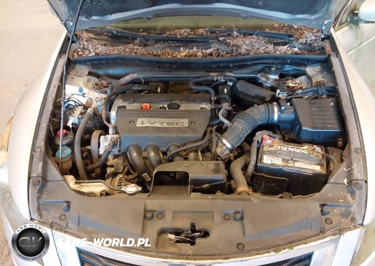 2009 Honda Accord 2.4 Ex-L VIN:1HGCP268X9A038782 - 6