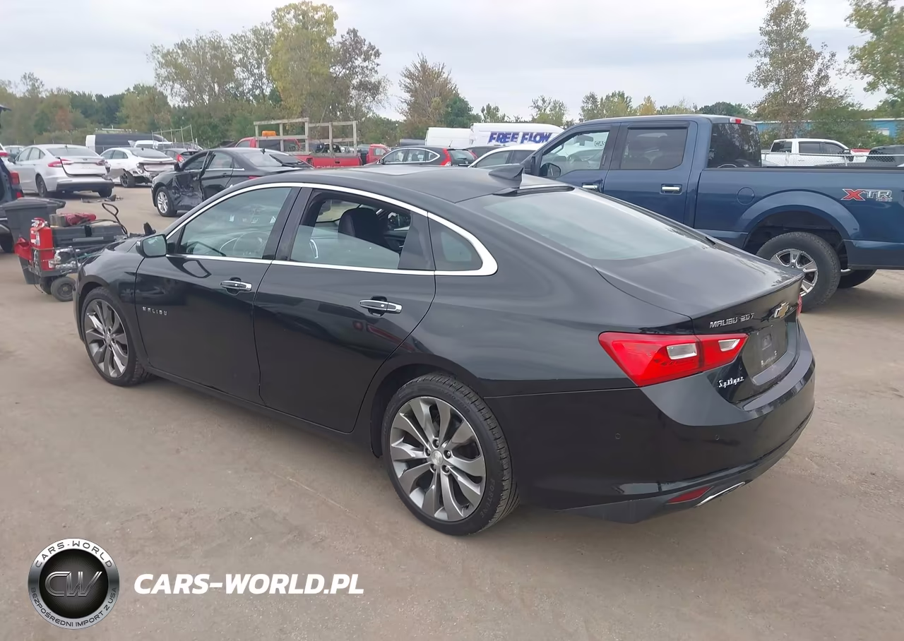 2016 Chevrolet Malibu Premier VIN:1G1ZH5SX5GF239910 - 3