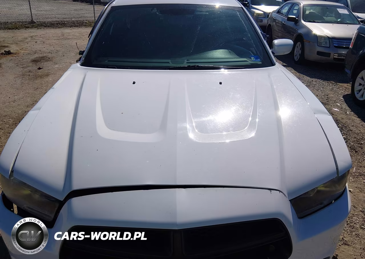 2014 Dodge Charger Police VIN:2C3CDXAT9EH245566 - 10