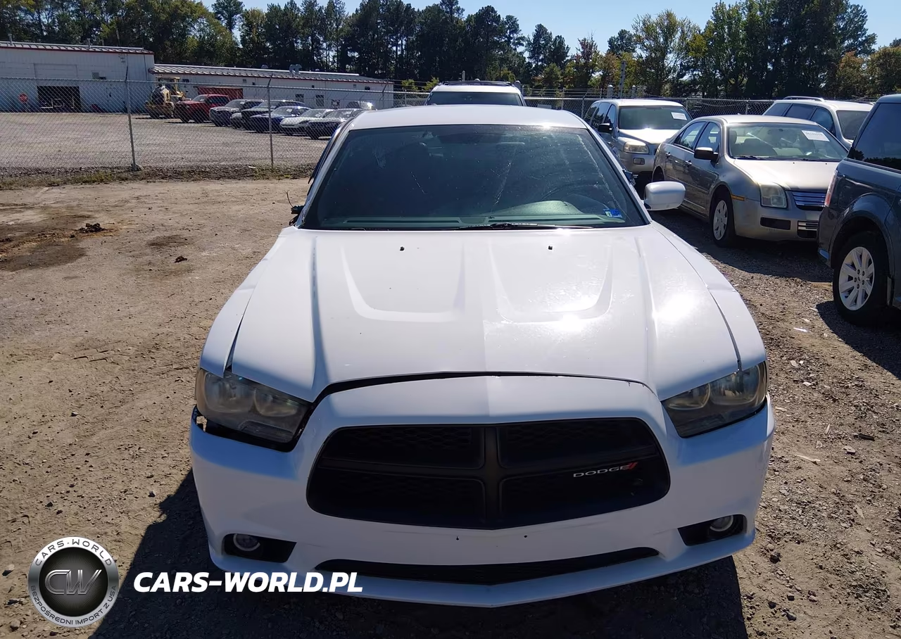2014 Dodge Charger Police VIN:2C3CDXAT9EH245566 - 12