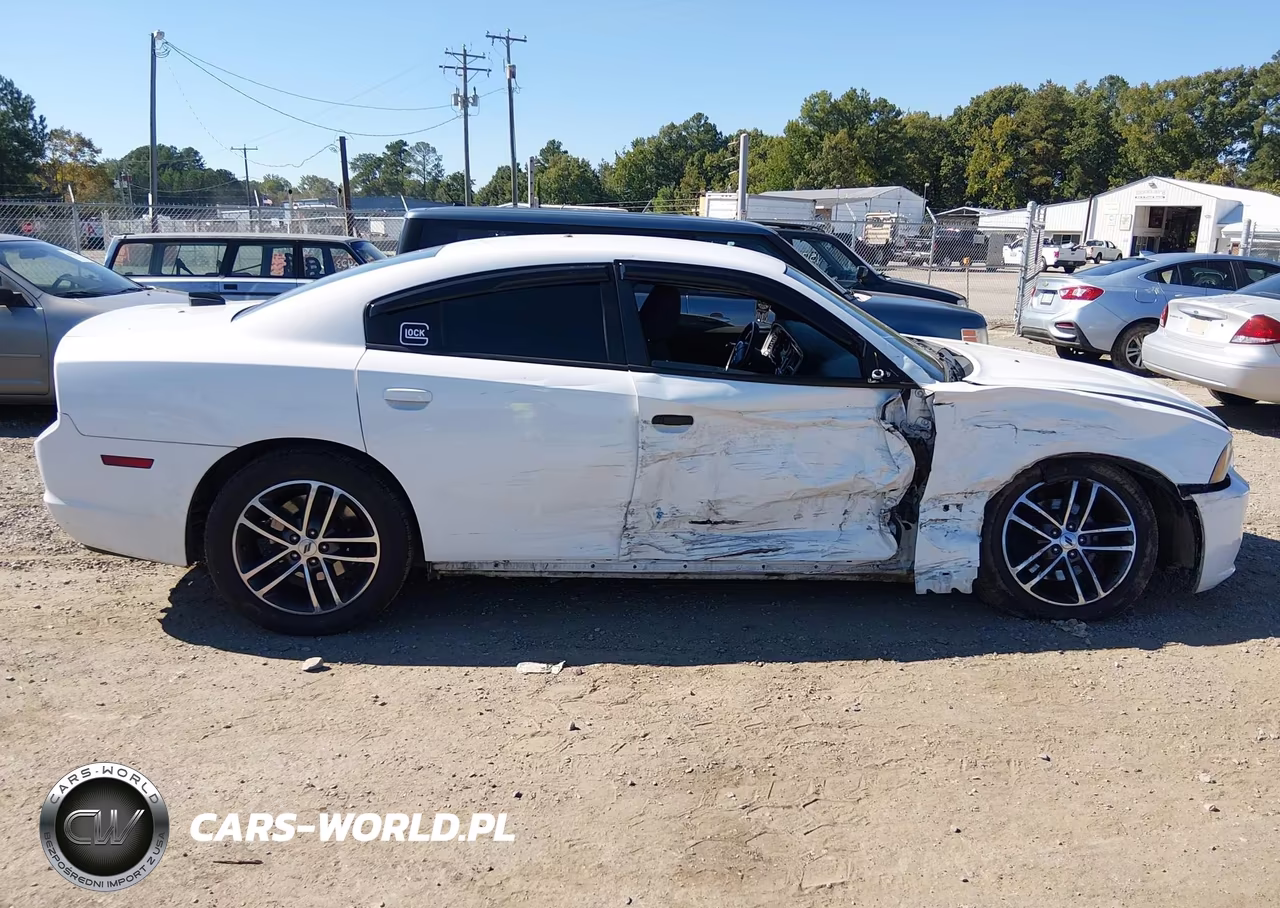 2014 Dodge Charger Police VIN:2C3CDXAT9EH245566 - 13