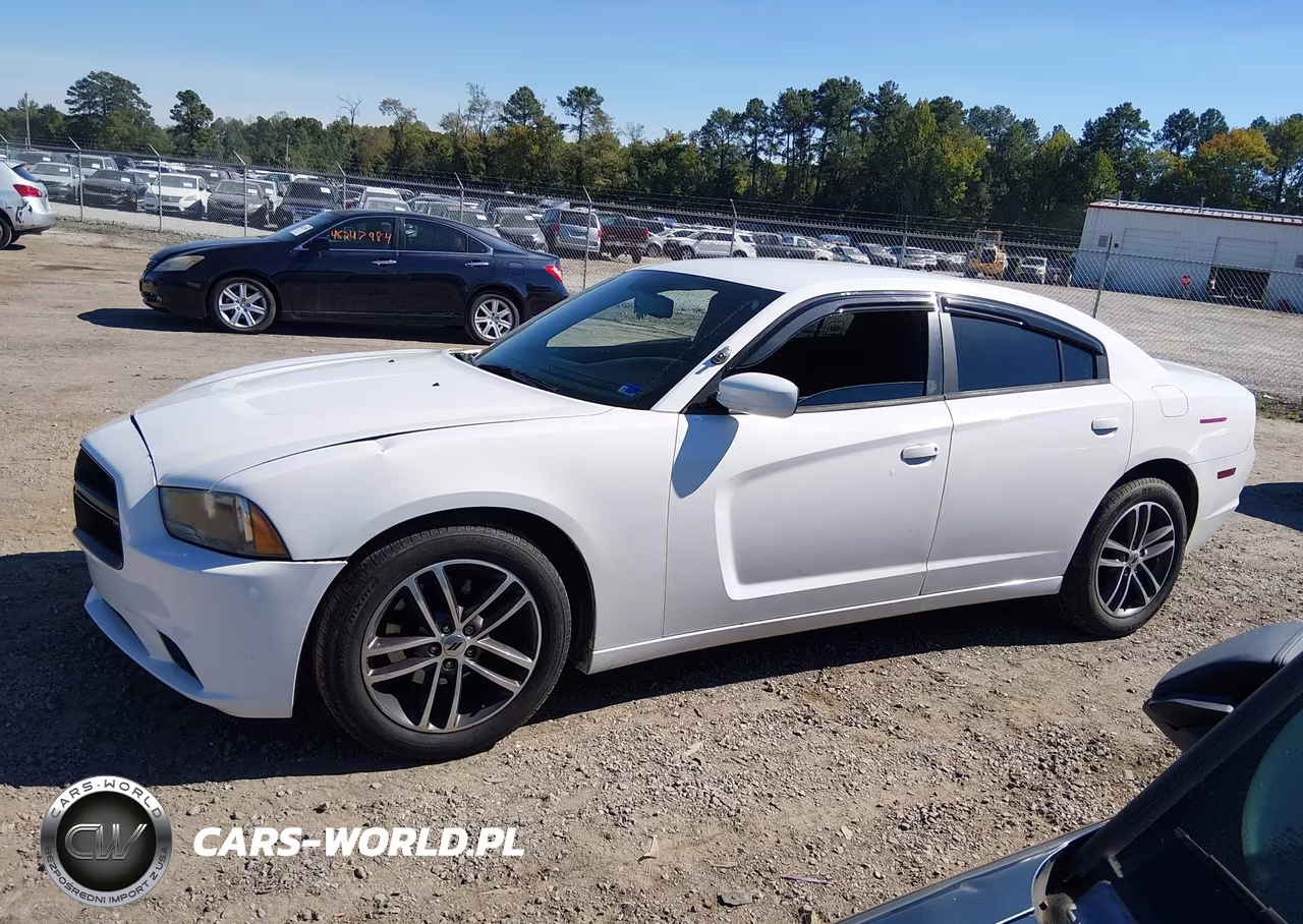2014 Dodge Charger Police VIN:2C3CDXAT9EH245566 - 14