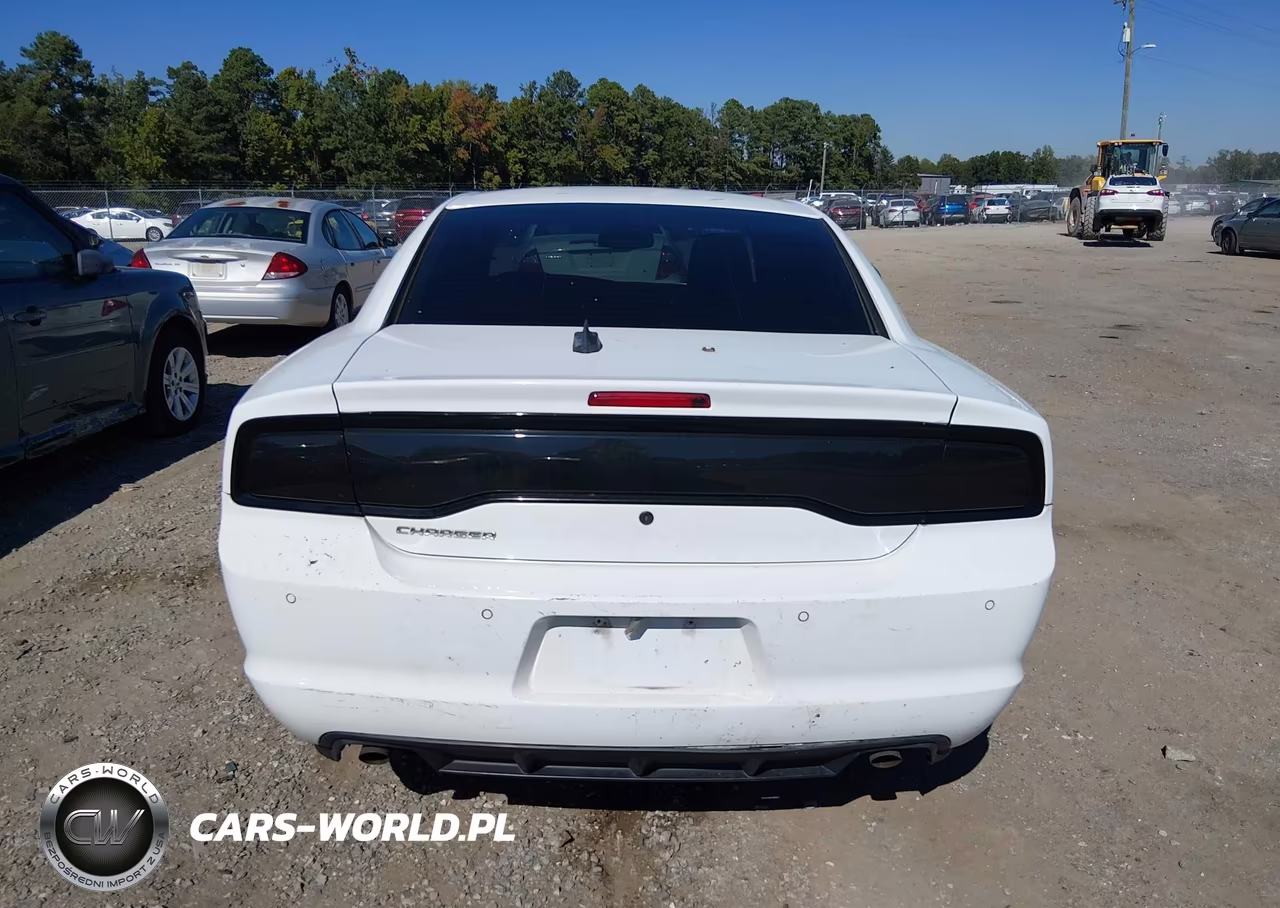 2014 Dodge Charger Police VIN:2C3CDXAT9EH245566 - 16