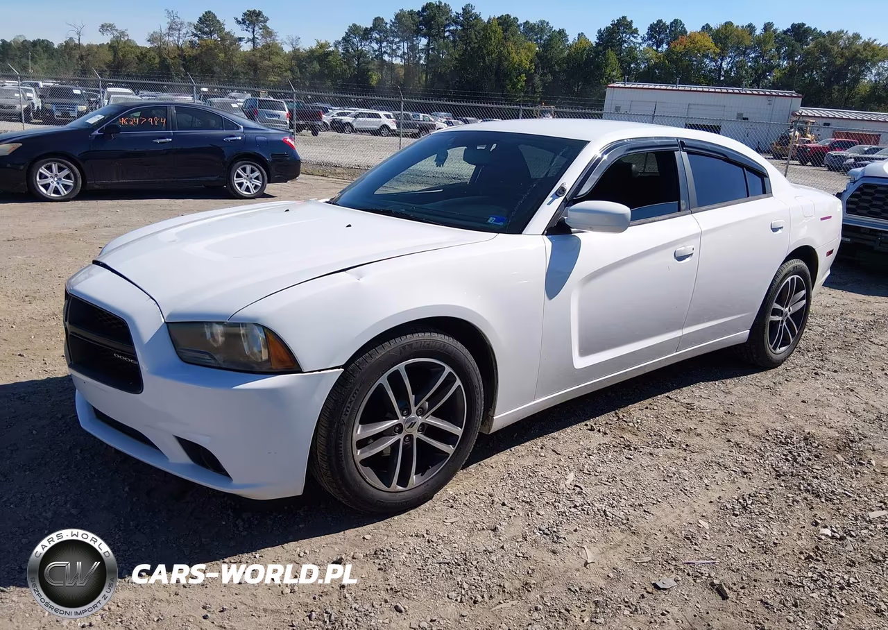 2014 Dodge Charger Police VIN:2C3CDXAT9EH245566 - 2