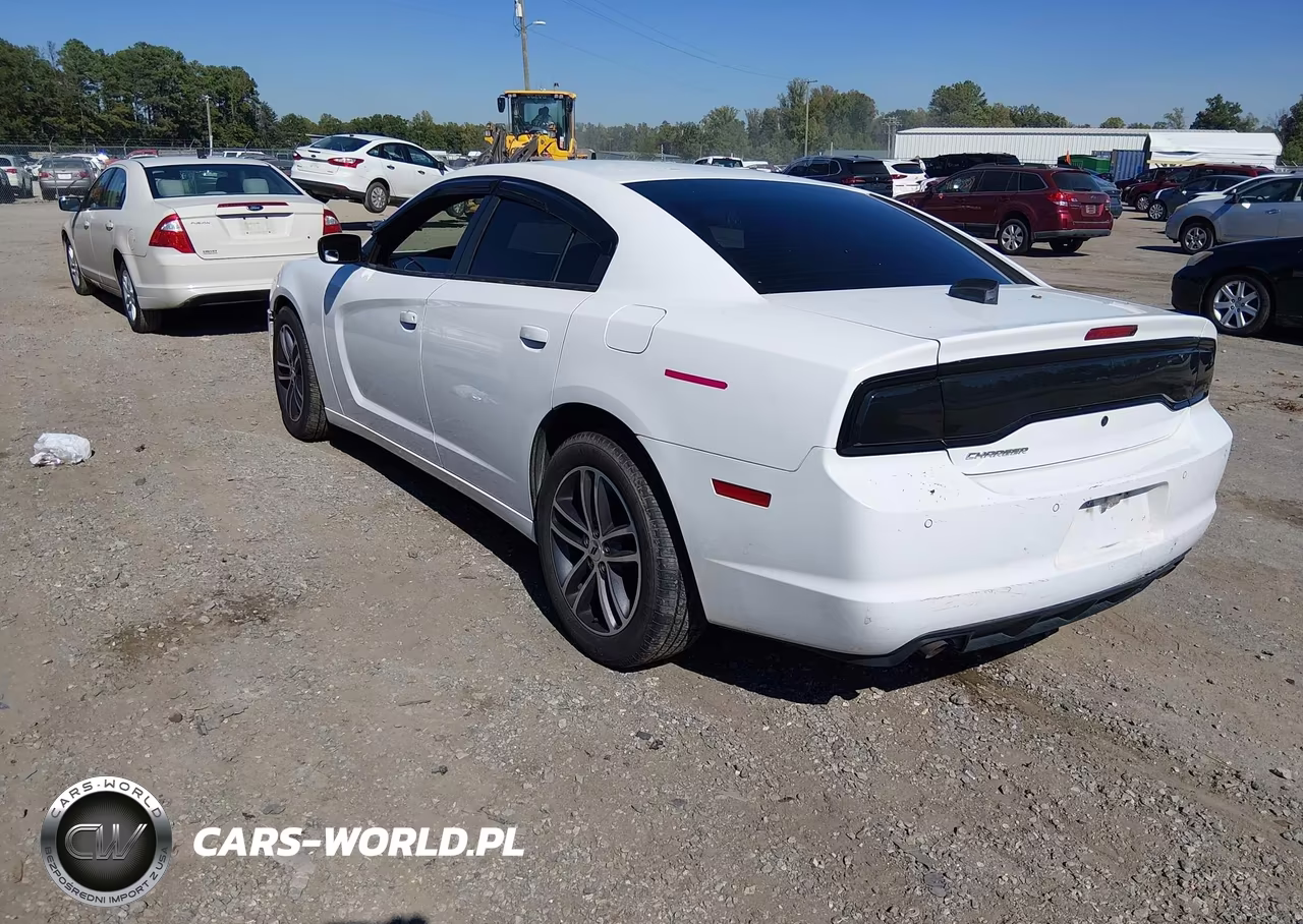 2014 Dodge Charger Police VIN:2C3CDXAT9EH245566 - 3