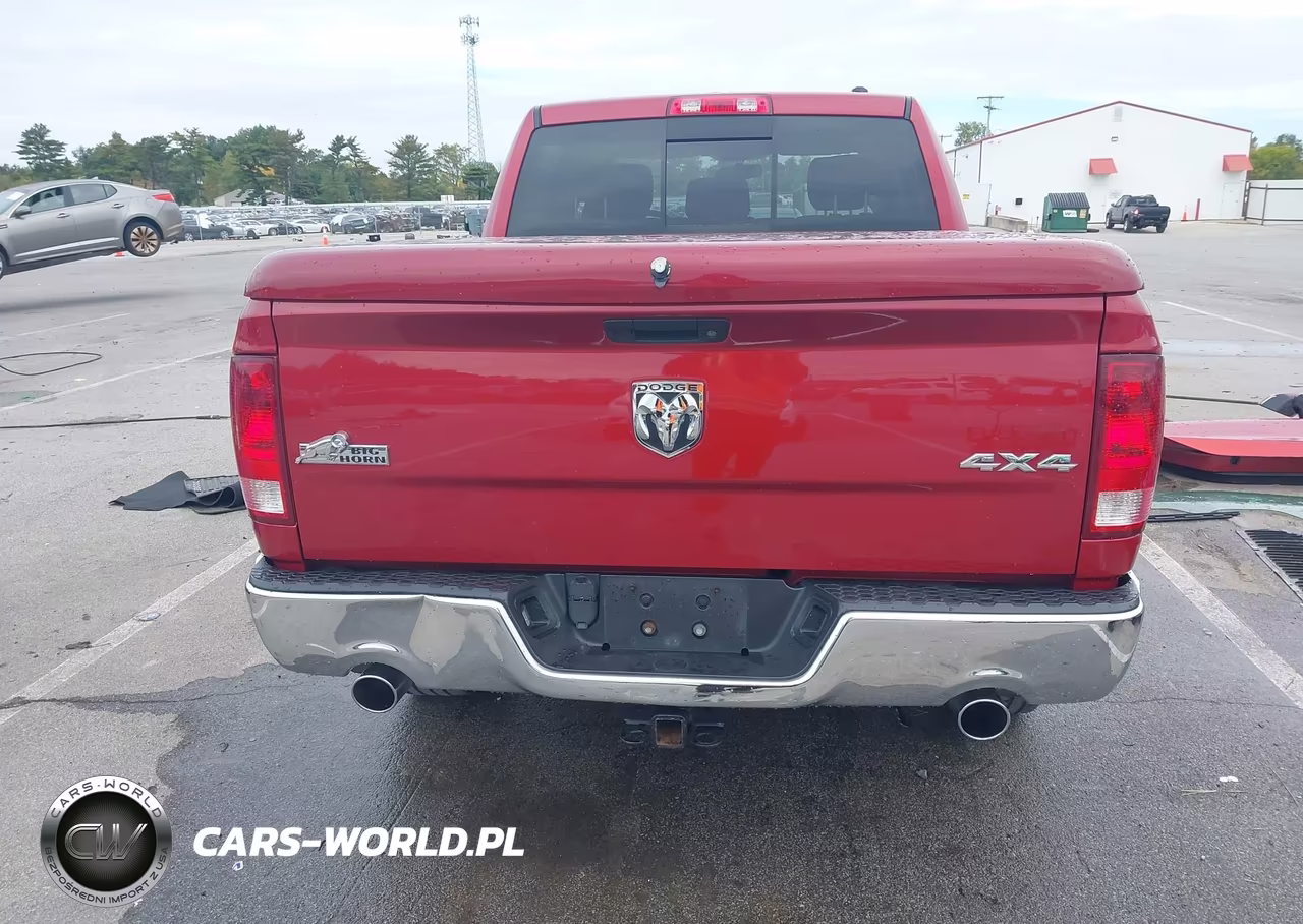 2010 Dodge Ram 1500 Slt-Sport-Trx VIN:1D7RV1CT5AS261530 - 15