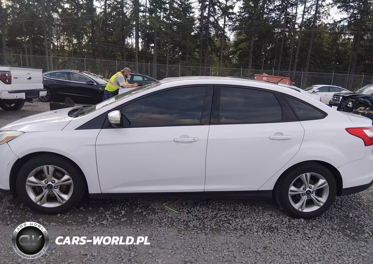 2014 Ford Focus Se VIN:1FADP3F2XEL248369 - 15