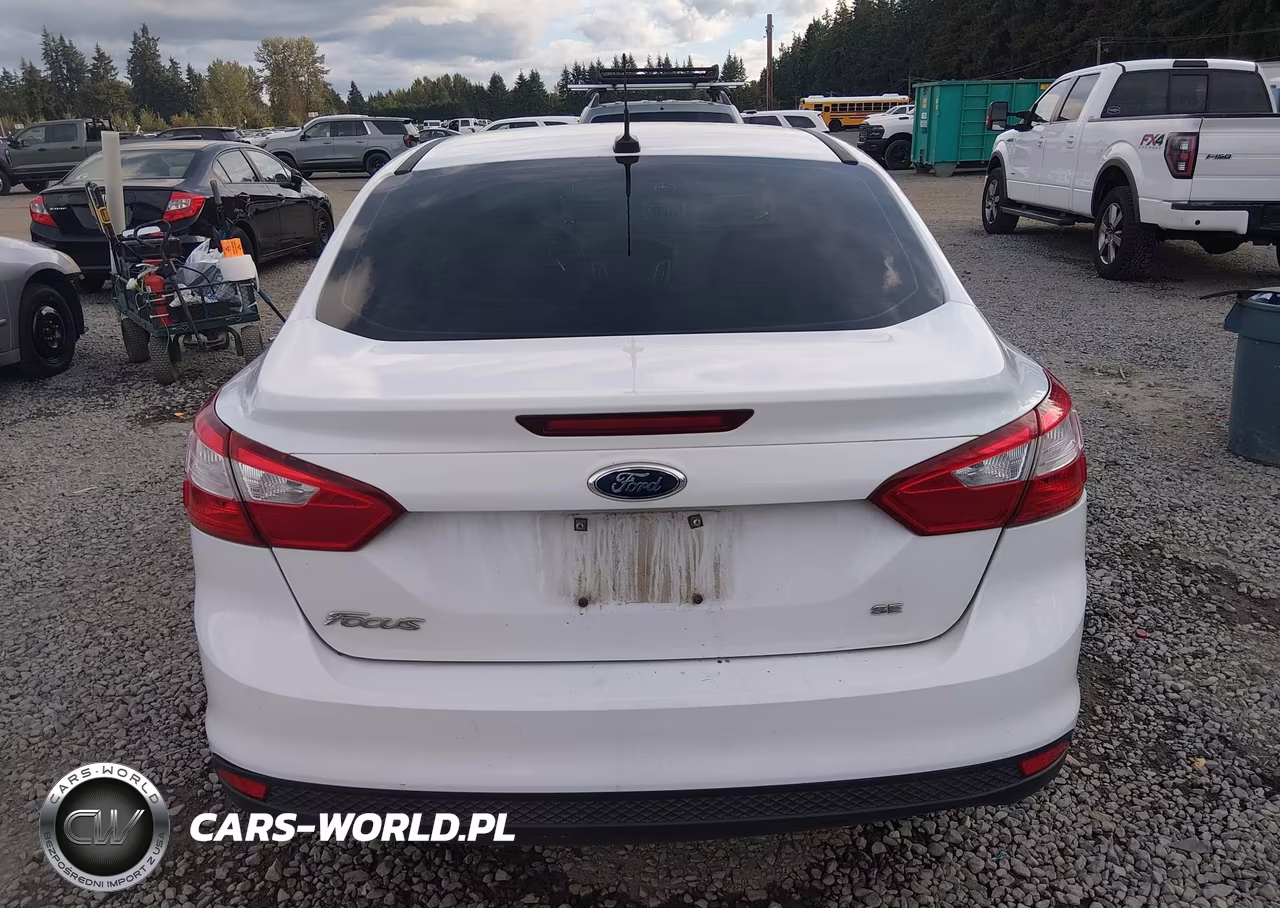 2014 Ford Focus Se VIN:1FADP3F2XEL248369 - 17