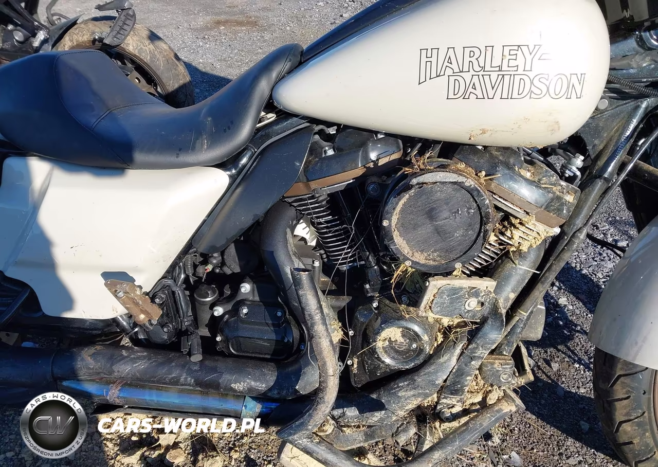 2023 Harley-Davidson Flhxst VIN:1HD1ABL13PB655574 - 8