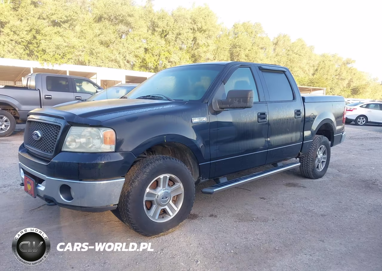 2006 Ford F-150 Fx4-Lariat-Xlt VIN:1FTPW14V86KE01396 - 2