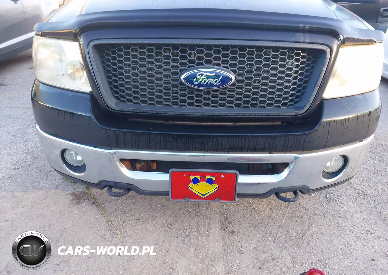 2006 Ford F-150 Fx4-Lariat-Xlt VIN:1FTPW14V86KE01396 - 6