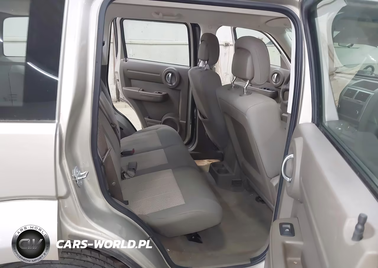 2010 Dodge Nitro Se VIN:1D4PU2GK5AW163542 - 8