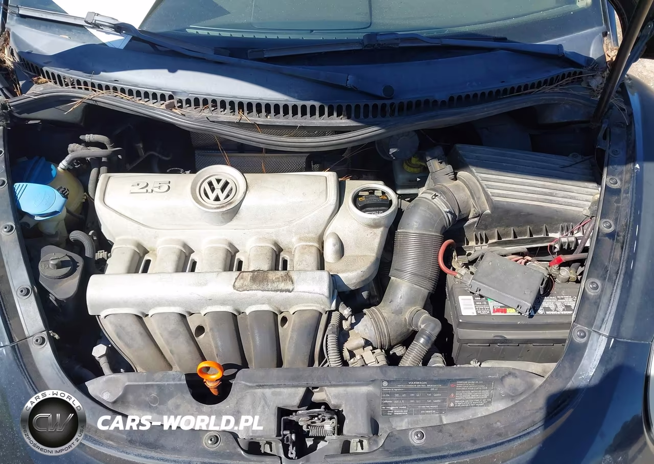 2009 Volkswagen New Beetle 2.5L VIN:3VWRW31C29M518893 - 10