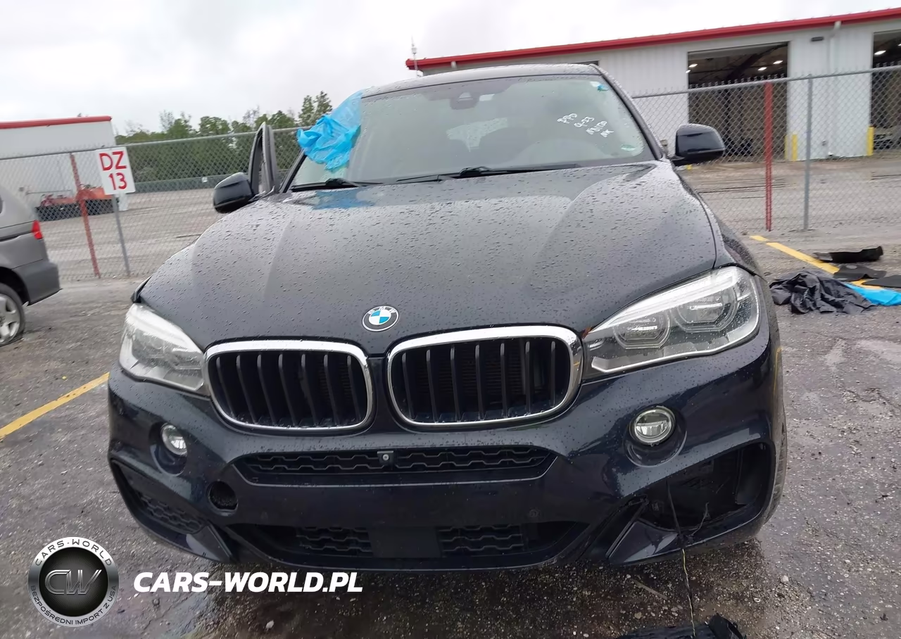 2016 BMW X6 xDrive35I VIN:5UXKU2C57G0N81120 - 11