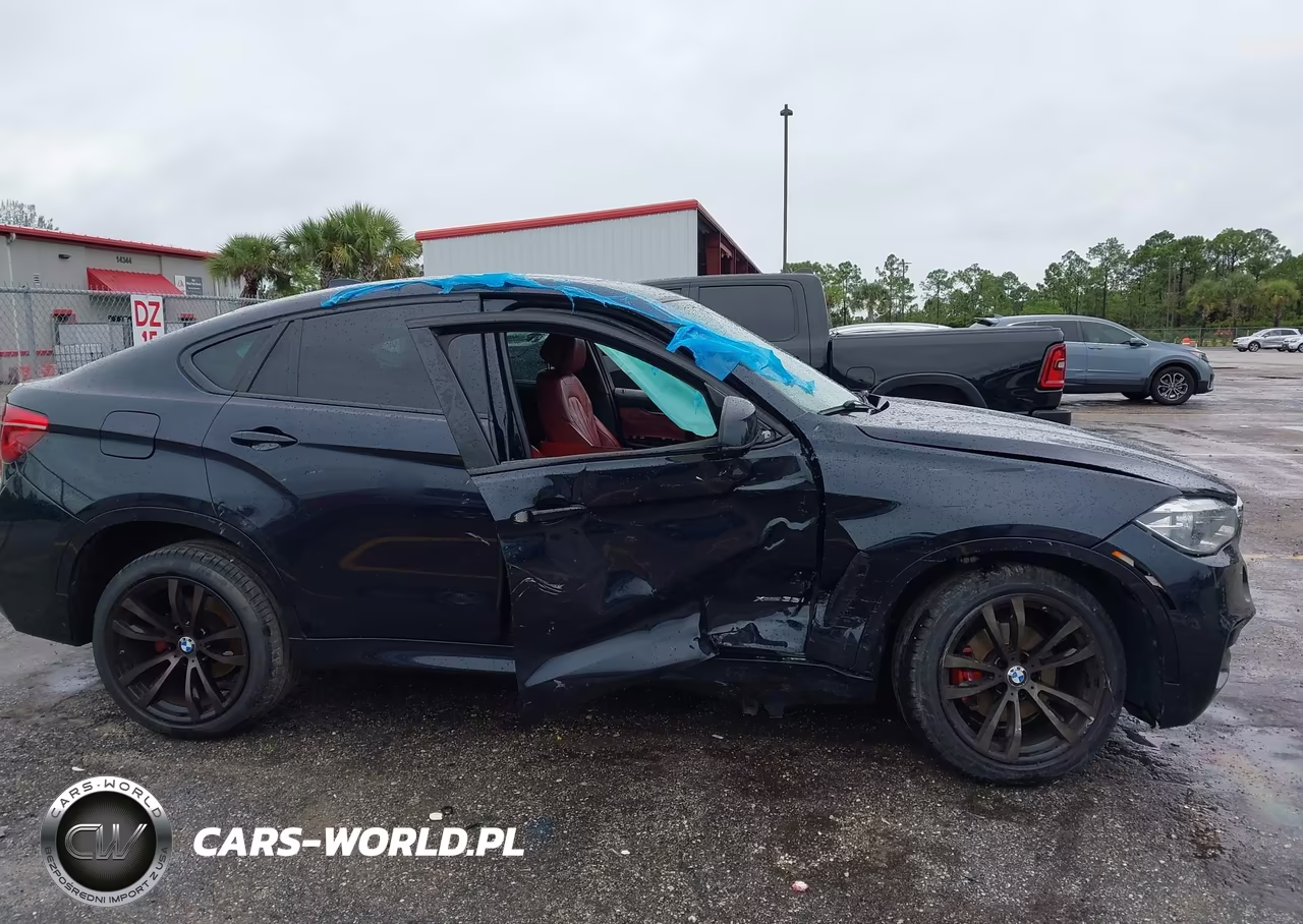 2016 BMW X6 xDrive35I VIN:5UXKU2C57G0N81120 - 12