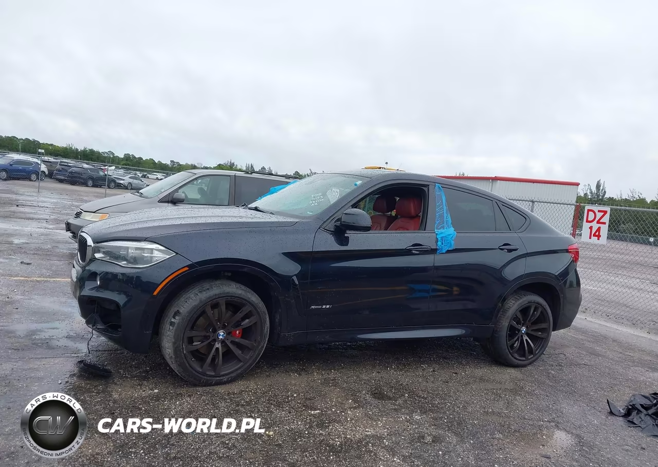 2016 BMW X6 xDrive35I VIN:5UXKU2C57G0N81120 - 13