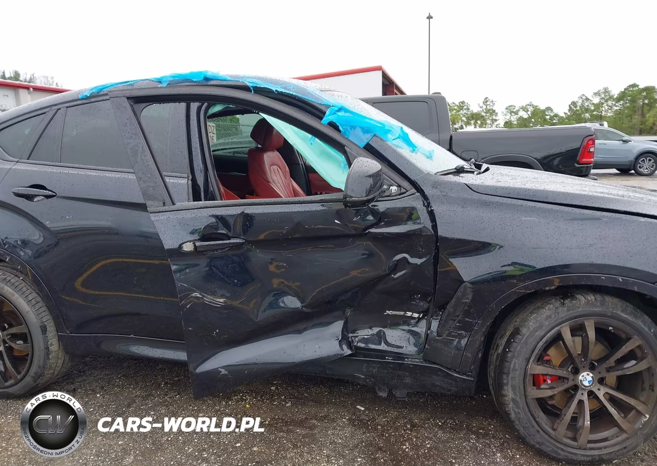 2016 BMW X6 xDrive35I VIN:5UXKU2C57G0N81120 - 6