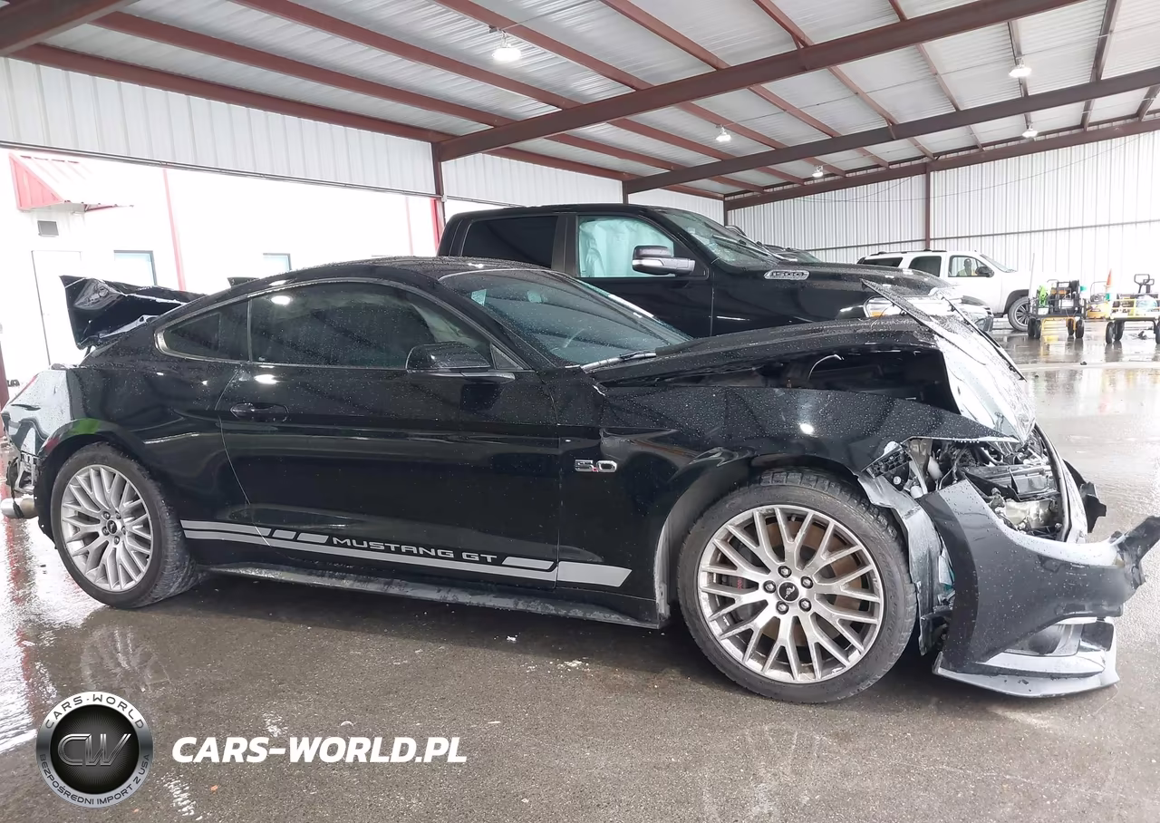 2017 Ford Mustang Gt Premium VIN:1FA6P8CF0H5329385 - 14