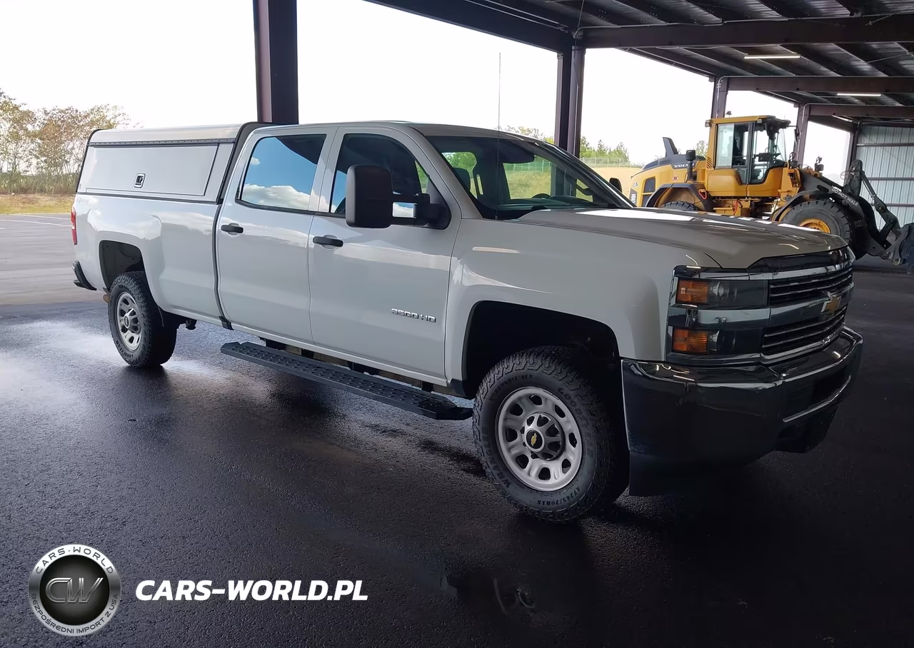 2017 Chevrolet Silverado 3500Hd Wt VIN:1GC4KYCGXHF189459 - 1