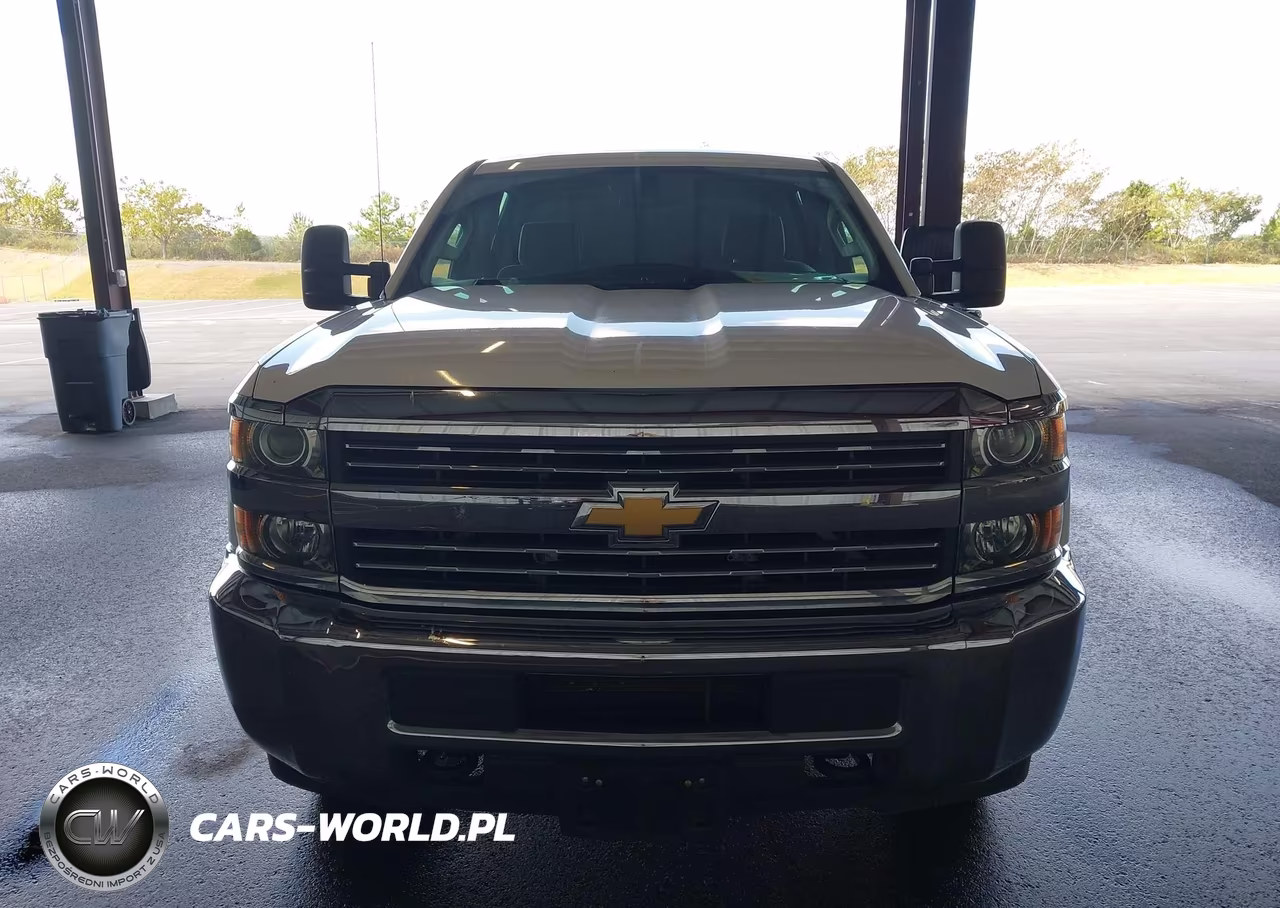 2017 Chevrolet Silverado 3500Hd Wt VIN:1GC4KYCGXHF189459 - 17