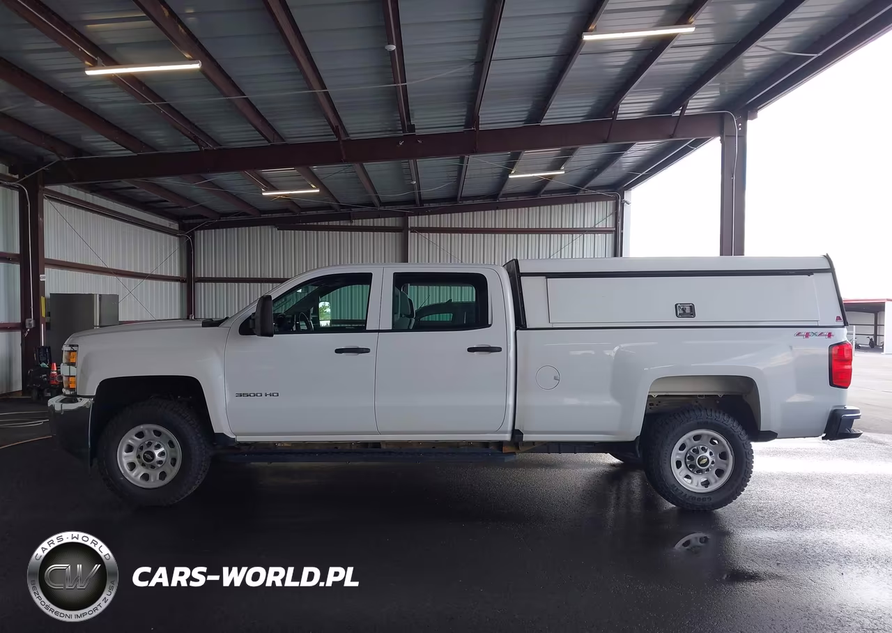 2017 Chevrolet Silverado 3500Hd Wt VIN:1GC4KYCGXHF189459 - 19