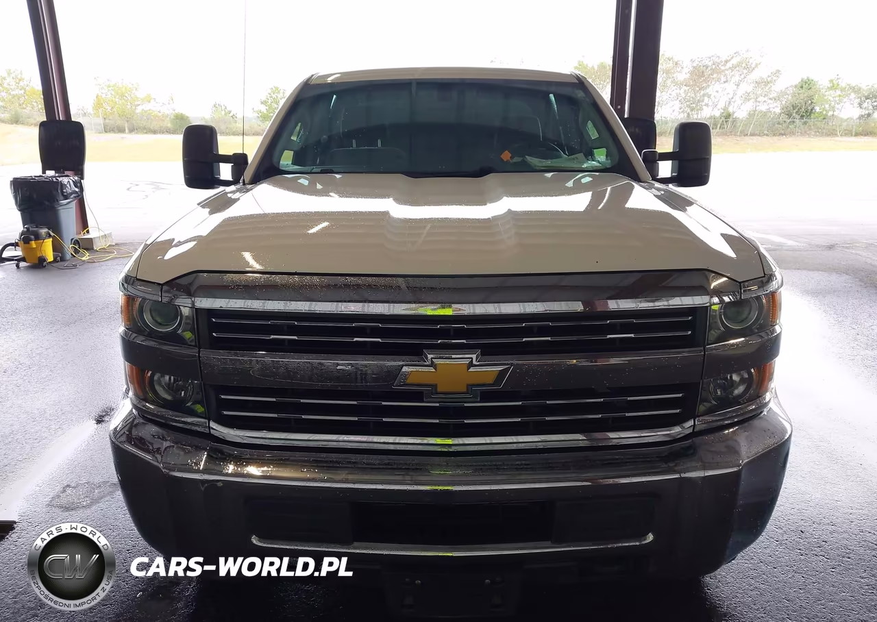 2017 Chevrolet Silverado 3500Hd Wt VIN:1GC4KYCG4HF191806 - 17