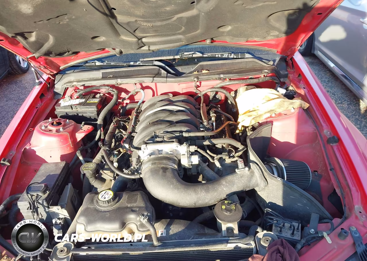 2006 Ford Mustang Gt VIN:1ZVFT82H965210754 - 10