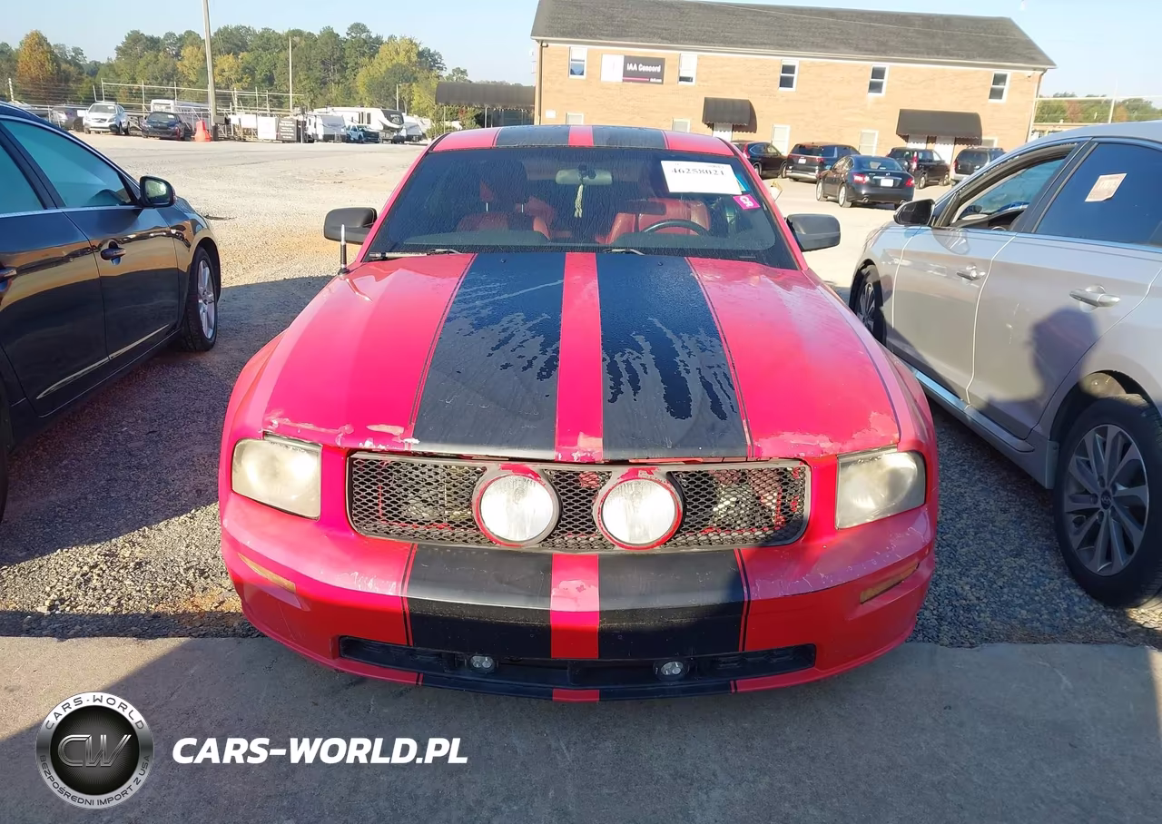 2006 Ford Mustang Gt VIN:1ZVFT82H965210754 - 12