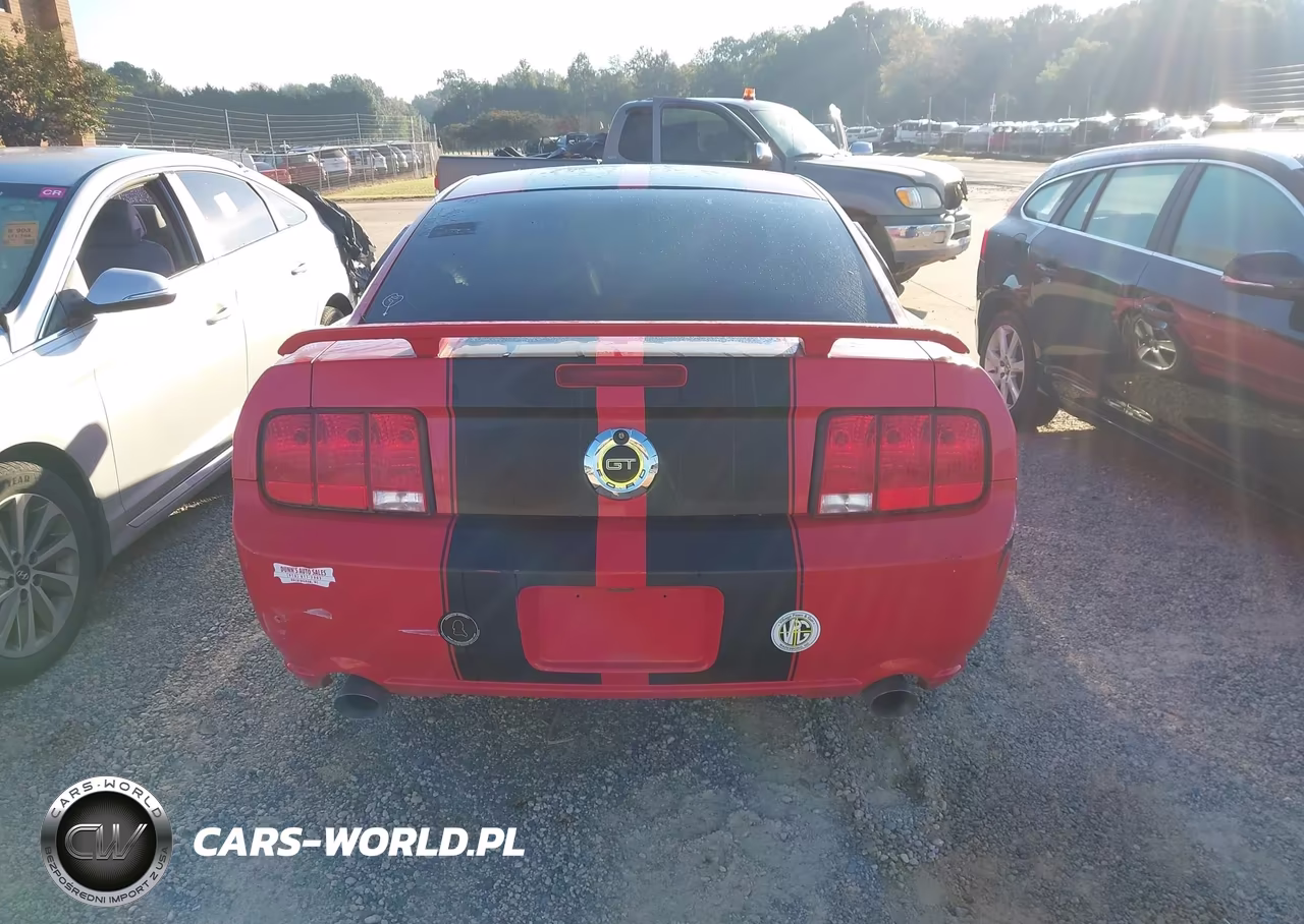 2006 Ford Mustang Gt VIN:1ZVFT82H965210754 - 16