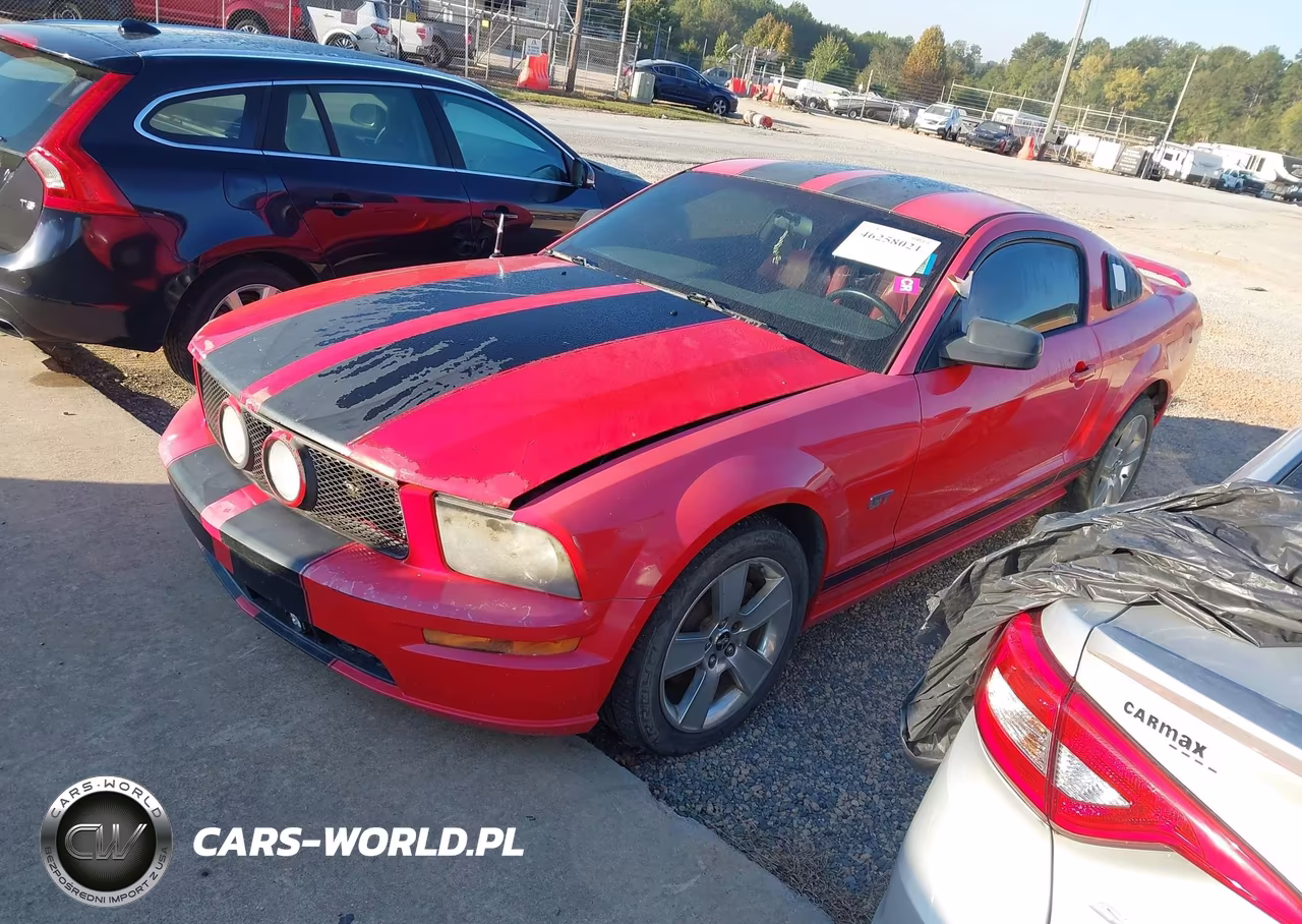 2006 Ford Mustang Gt VIN:1ZVFT82H965210754 - 2