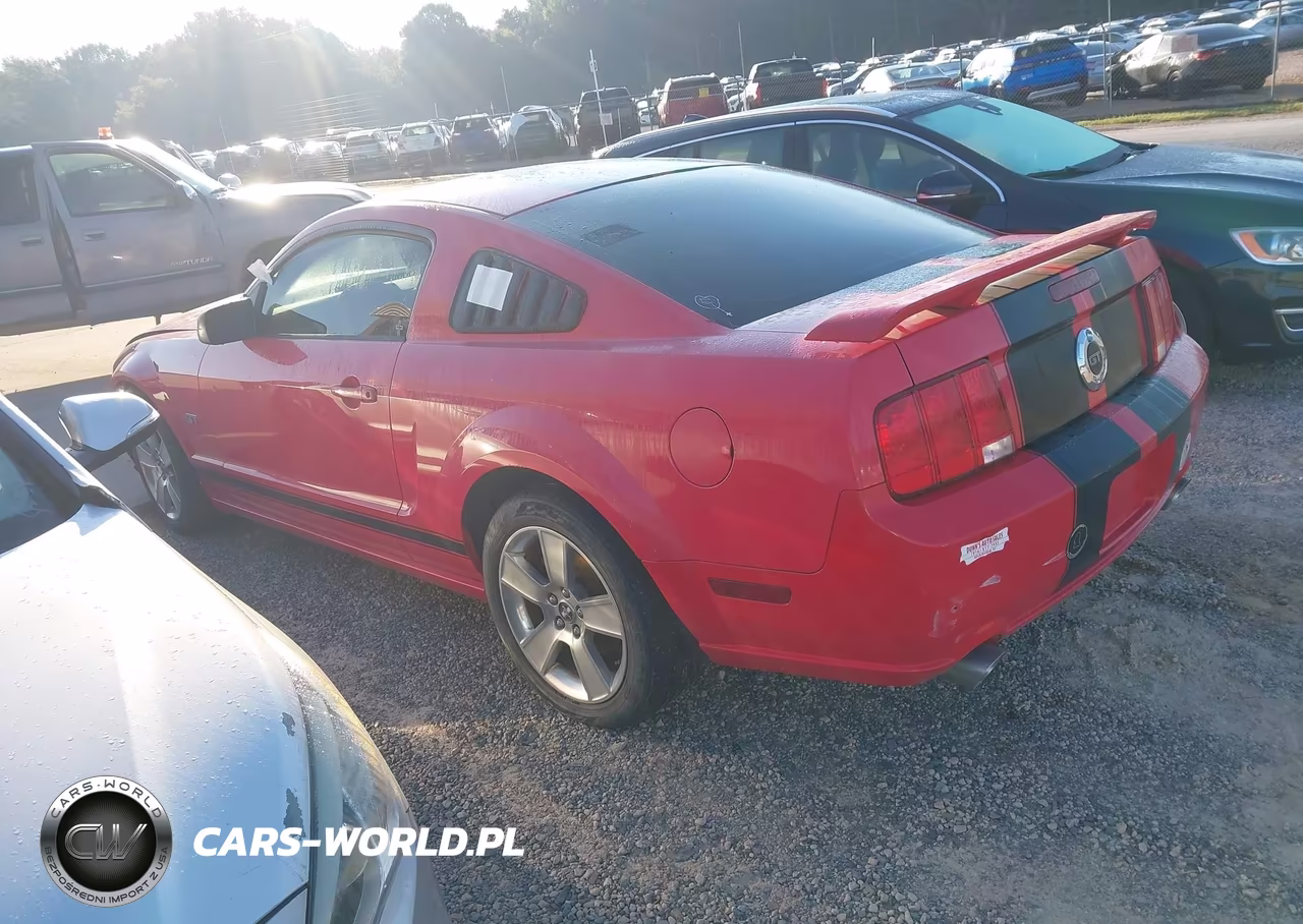 2006 Ford Mustang Gt VIN:1ZVFT82H965210754 - 3