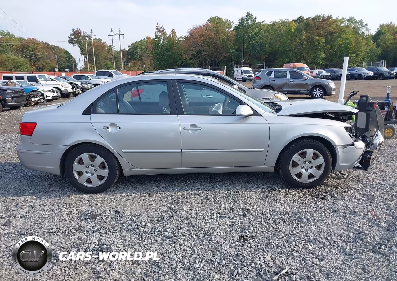 2010 Hyundai Sonata Gls VIN:5NPET4AC7AH618806 - 13