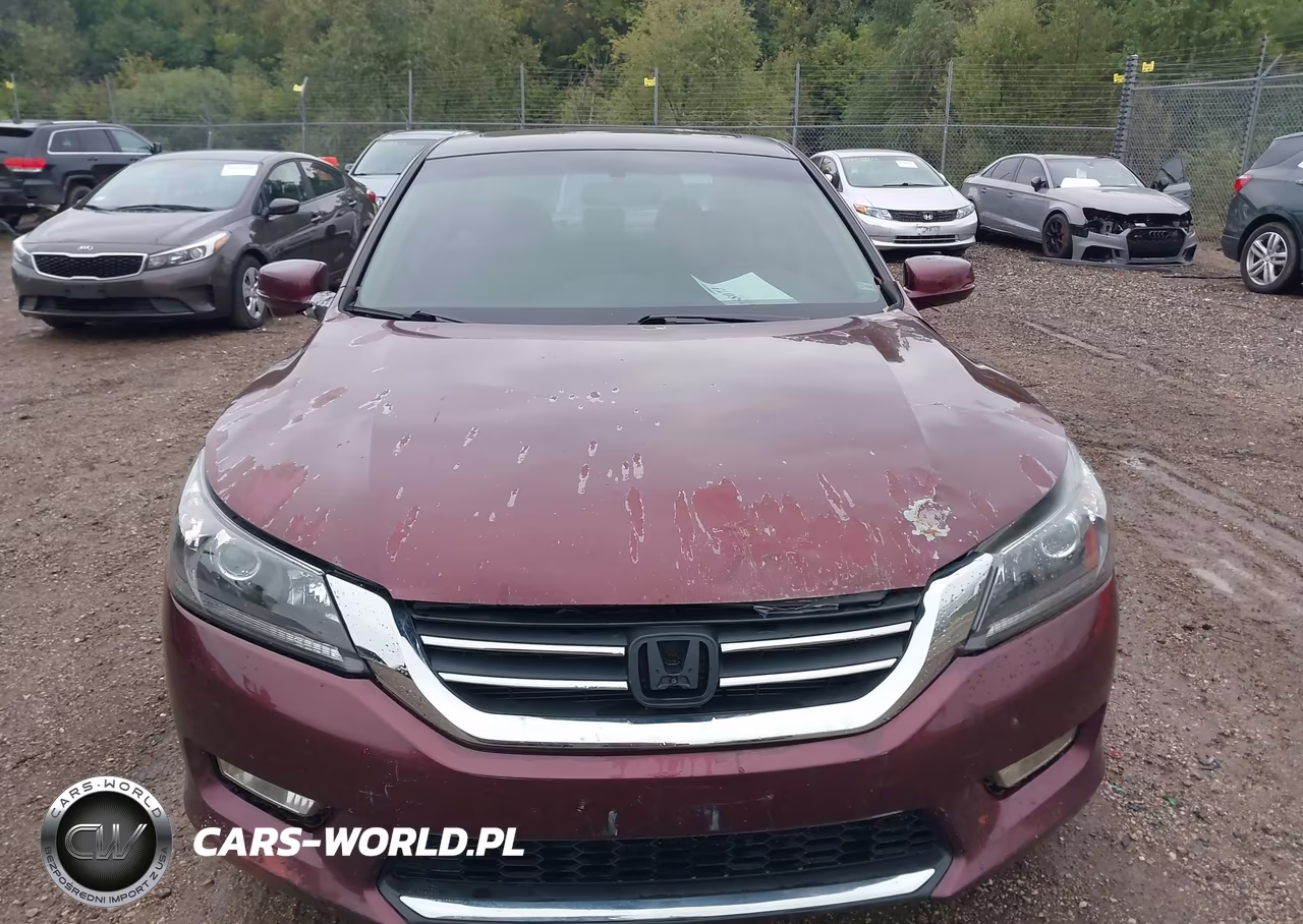 2013 Honda Accord Ex VIN:1HGCR2F70DA151733 - 12