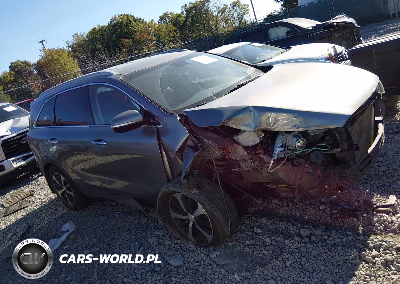 2017 Kia Sorento 3.3L Ex VIN:5XYPHDA55HG302494 - 14