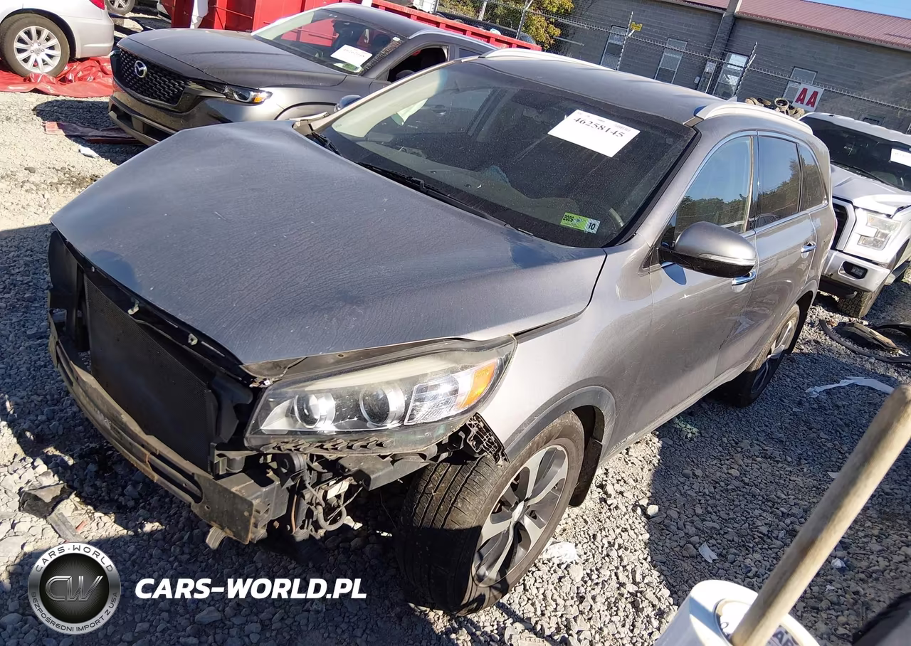 2017 Kia Sorento 3.3L Ex VIN:5XYPHDA55HG302494 - 2