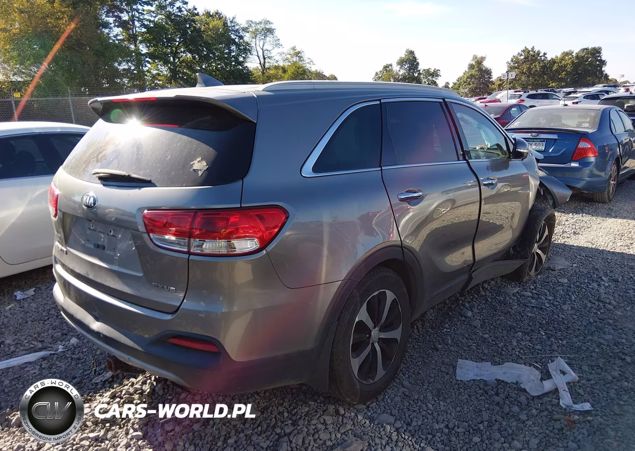 2017 Kia Sorento 3.3L Ex VIN:5XYPHDA55HG302494 - 4