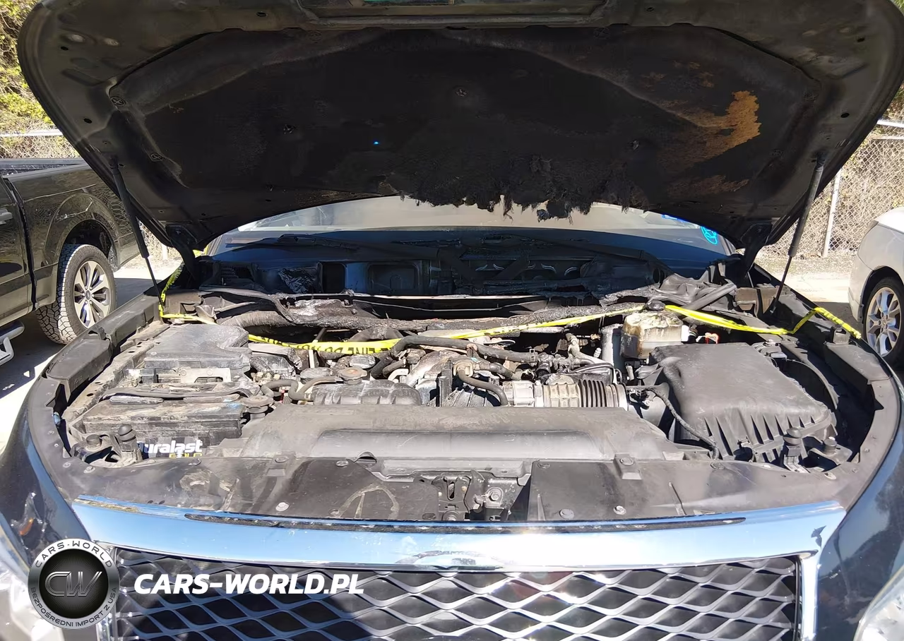 INFINITI QX80 VIN:JN8AZ2NE1G9126761 - 10